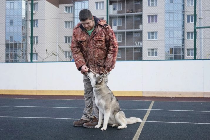 Адаптація собаки в новому будинку (21 фото): як адаптувати цуценя до нового місця проживання в перший день? Скільки за часом він звикає?