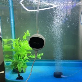 Аерація води в акваріумі (34 фото): що це таке? Як часто включати подачу кисню для рибок? Скільки повинен працювати повітря? Кисневі таблетки і інші способи
