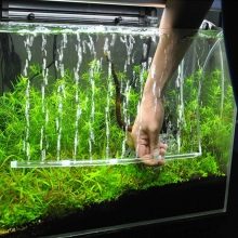 Аерація води в акваріумі (34 фото): що це таке? Як часто включати подачу кисню для рибок? Скільки повинен працювати повітря? Кисневі таблетки і інші способи