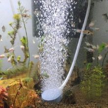 Аерація води в акваріумі (34 фото): що це таке? Як часто включати подачу кисню для рибок? Скільки повинен працювати повітря? Кисневі таблетки і інші способи