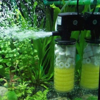 Аерація води в акваріумі (34 фото): що це таке? Як часто включати подачу кисню для рибок? Скільки повинен працювати повітря? Кисневі таблетки і інші способи