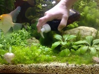 Аерація води в акваріумі (34 фото): що це таке? Як часто включати подачу кисню для рибок? Скільки повинен працювати повітря? Кисневі таблетки і інші способи