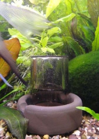 Аерація води в акваріумі (34 фото): що це таке? Як часто включати подачу кисню для рибок? Скільки повинен працювати повітря? Кисневі таблетки і інші способи