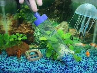 Аерація води в акваріумі (34 фото): що це таке? Як часто включати подачу кисню для рибок? Скільки повинен працювати повітря? Кисневі таблетки і інші способи