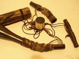 Аксесуари для собак: для дресирування та інші види. Як вибрати аксесуари для цуценят малих, середніх і великих порід?