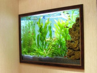 Акваріуми в стіні (35 фото): вбудований плоский акваріум між кімнатами, підвісний тонкий акваріум в ніші і інші варіанти. Їх дизайн