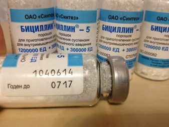 Акваріумна рибка скляний окунь (19 фото): особливості змісту та догляду в акваріумі, сумісність прозорого окуня з рибами інших порід
