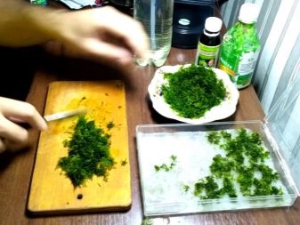 Акваріумний мох (24 фото): правила утримання мохів в акваріумі, фенікс, різдвяний і інші види мохів з назвами і описом