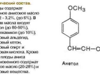Анісова олія: інструкція по застосуванню і властивості ефірного масла для волосся