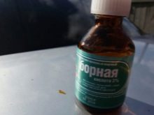 Англійський мастиф (58 фото): характеристика цуценят породи мастиф, вага однієї з найбільших собак, тигровий мастиф