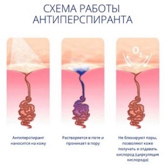 Антиперспірант для жінок: який жіночий дезодорант краще захищає від поту? Рейтинг і відгуки