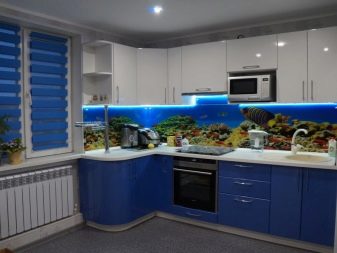 Біло-синя кухня (64 фото): особливості вибору кухонного гарнітура в білому-синьому кольорі для дизайну інтер’єру кухні, акценти на стінах в аналогічних тонах