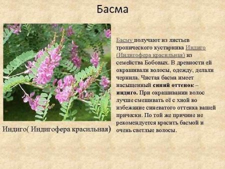 Басма (32 фото): що це таке? З чого її роблять? Шкідливий її склад? В які відтінки можна фарбуватися? Як правильно її розводити? Зафарбовує вона сивину?