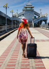 Baudet (61 фото): валізи, господарська сумка-візок на колесах і пластикові моделі Travel, відгуки про якість