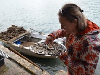 Боко-Которська бухта (81 фото): розташування затоки на карті Чорногорії, кращі пляжі і пам’ятки