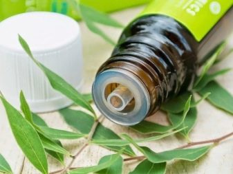Ботокс для волосся в домашніх умовах: рецепти ботокса і вибір професійних засобів для застосування вдома. Відгуки