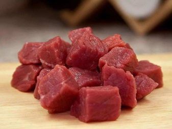 Британські мармурові коти (26 фото): опис породи, характер кішки-британця, особливості забарвлення під чорний мармур, у сріблі та в золоті