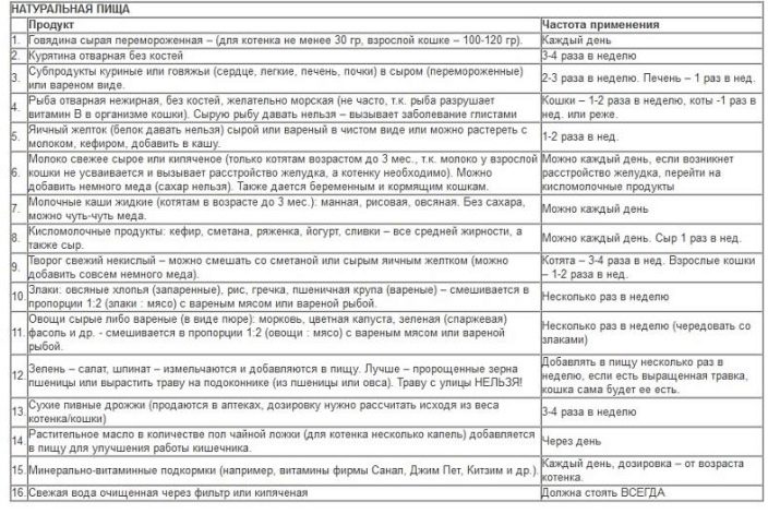 Британський смугастий кіт (25 фото): опис кішок і кошенят сірого та інших забарвлень британської породи. Як назвати хлопчика і дівчинку з смужками на шерсті?