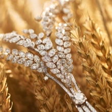 Брошка Chanel (53 фото): як відрізнити оригінал від підробки, камелія літак, брошки в стилі Коко Шанель із бісеру