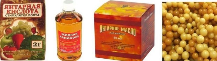 Бурштин (57 фото): що це таке і як виглядає камінь? Лікувальні та магічні властивості, бурштин червоного кольору і балтійський, необроблені і пресовані види
