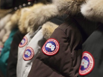 Canada Goose (86 фото): пуховики і зимові куртки, жіночі парки та дитячі комбінезони, куртки, відгуки про фірму