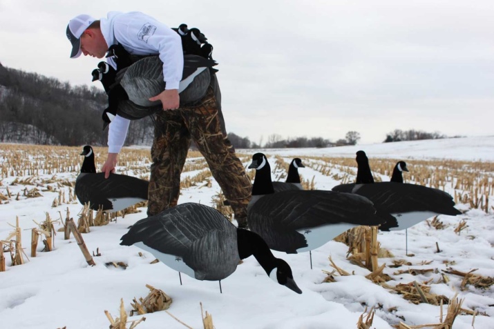 Canada Goose (86 фото): пуховики і зимові куртки, жіночі парки та дитячі комбінезони, куртки, відгуки про фірму