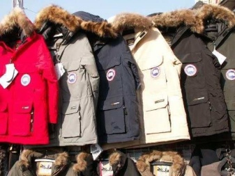Canada Goose (86 фото): пуховики і зимові куртки, жіночі парки та дитячі комбінезони, куртки, відгуки про фірму