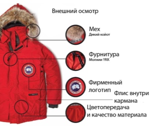 Canada Goose (86 фото): пуховики і зимові куртки, жіночі парки та дитячі комбінезони, куртки, відгуки про фірму