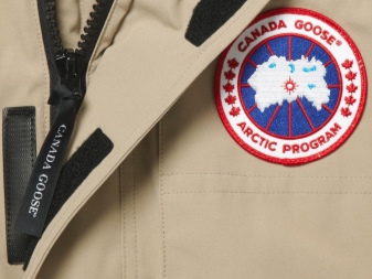 Canada Goose (86 фото): пуховики і зимові куртки, жіночі парки та дитячі комбінезони, куртки, відгуки про фірму