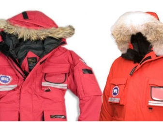 Canada Goose (86 фото): пуховики і зимові куртки, жіночі парки та дитячі комбінезони, куртки, відгуки про фірму