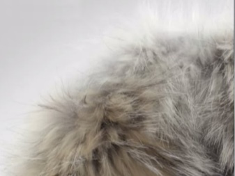 Canada Goose (86 фото): пуховики і зимові куртки, жіночі парки та дитячі комбінезони, куртки, відгуки про фірму