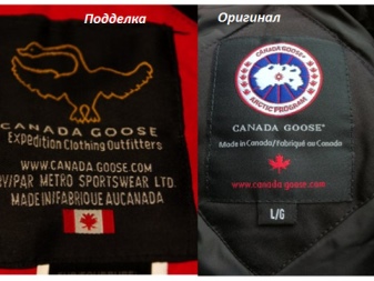 Canada Goose (86 фото): пуховики і зимові куртки, жіночі парки та дитячі комбінезони, куртки, відгуки про фірму
