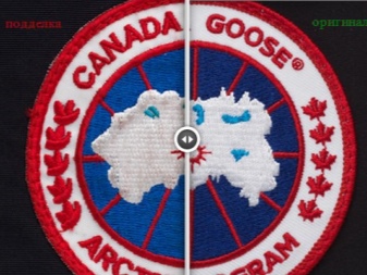 Canada Goose (86 фото): пуховики і зимові куртки, жіночі парки та дитячі комбінезони, куртки, відгуки про фірму