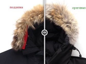 Canada Goose (86 фото): пуховики і зимові куртки, жіночі парки та дитячі комбінезони, куртки, відгуки про фірму