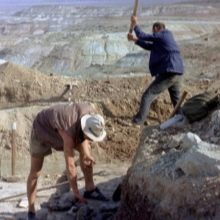Цаворіт (19 фото): що це за камінь? Характеристика та властивості. Особливості натурального зеленого граната
