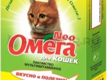 Цейлонський кішка (19 фото): опис породи та особливості змісту
