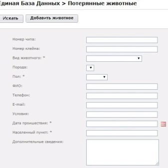 Чіпування кішок: що це таке? Як виглядає чіпування кішок і котів? Особливості проведення процедури чіпування для виїзду тварини за кордон