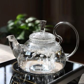 Чайники для індукційних плит: скляні моделі і варіанти зі свистком, посуд для плити з функцією відключення, рейтинг найкращих брендів