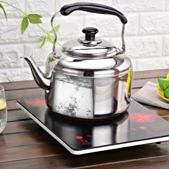 Чайники для індукційних плит: скляні моделі і варіанти зі свистком, посуд для плити з функцією відключення, рейтинг найкращих брендів