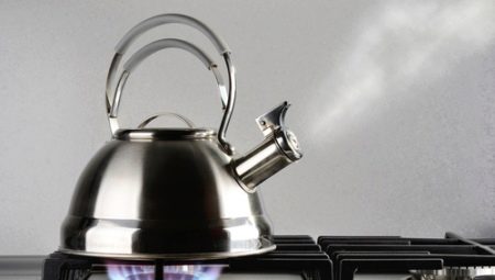 Чайники з нержавійки для газових плит: рейтинг найкращих і якісних моделей. Як правильно вибрати посуд з нержавіючої сталі? Елітні чайники з Німеччини та вироби російського виробництва