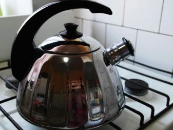 Чайники з нержавійки для газових плит: рейтинг найкращих і якісних моделей. Як правильно вибрати посуд з нержавіючої сталі? Елітні чайники з Німеччини та вироби російського виробництва