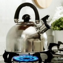 Чайники з нержавійки для газових плит: рейтинг найкращих і якісних моделей. Як правильно вибрати посуд з нержавіючої сталі? Елітні чайники з Німеччини та вироби російського виробництва
