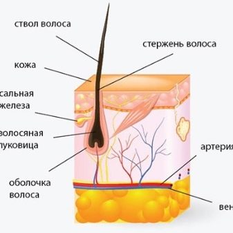 Через скільки можна фарбувати волосся після фарбування? Скільки днів має пройти після кератину, змивки і невдалого фарбування