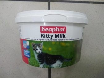 Чим годувати новонародженого кошеняти? Як вигодувати його без кішки з допомогою замінника котячого молока в домашніх умовах?