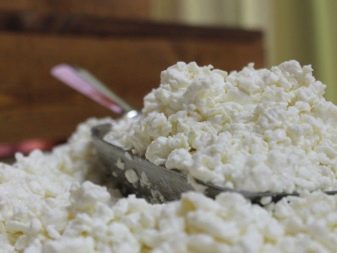 Чим годувати сирійського хом’яка? Чи є банан і корм, волоський горіх, болгарський перець і сир, капусту й огірки? Список корисних продуктів