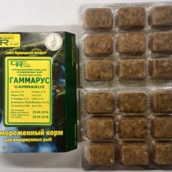 Чим годувати скалярій? 14 фото Корм для мальків в акваріумі. Як починати годування скалярії в домашніх умовах? Скільки разів на день вони харчуються?