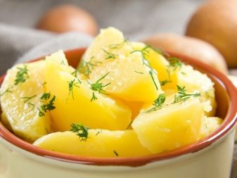 Чим і як годувати цуценя? 22 фото Особливості годівлі. Скільки разів на день можна давати їжу? Раціон цуценя в 4-5 місяців. Коли потрібно переводити на дворазове харчування?