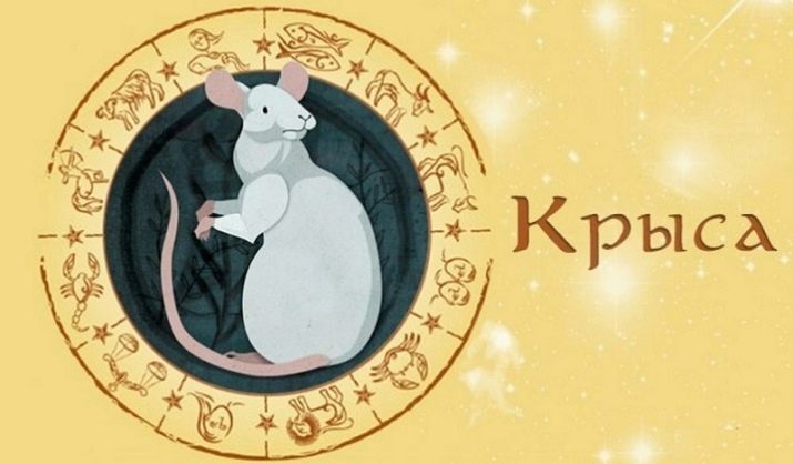 Чоловік Щур (21 фото): характеристика чоловіки, народженої в рік Щура за східним гороскопом, характер зодіаку Вогненна і Металева Щури. З ким сумісний в любові і як його завоювати?