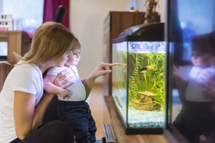 Чому при запуску акваріума помутніла вода? 26 фото Що робити, якщо на другий день після запуску вода стала каламутна? Причини появи білої каламуті