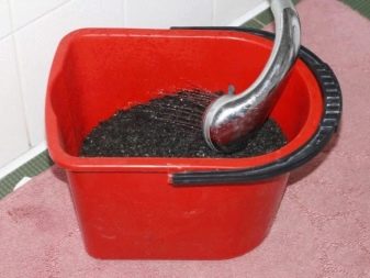 Чому при запуску акваріума помутніла вода? 26 фото Що робити, якщо на другий день після запуску вода стала каламутна? Причини появи білої каламуті